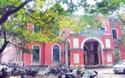 Old and Damp, But Standing Tall