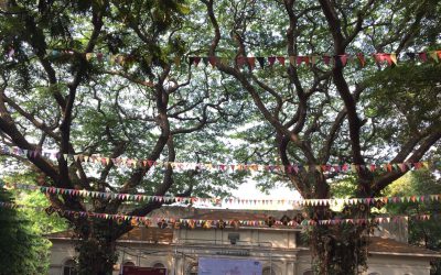 UVCE Centenary Marathon