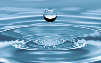 Water Institute’s first task is to clean its own back yard